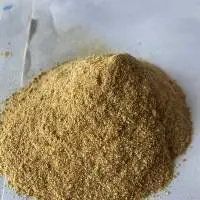 Retinoic Acid CAS 302-79-4