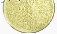 All-trans-Retinol CAS 68-26-8