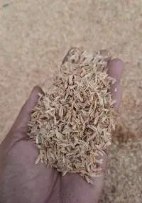 Rice Husk