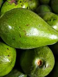 Butter Avocado