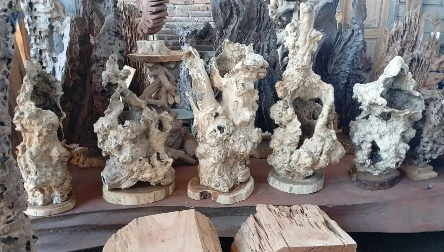 Wood Root