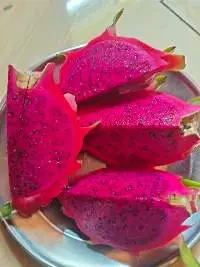 Red Dragon Fruit