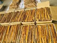 Cassia Stick Broken