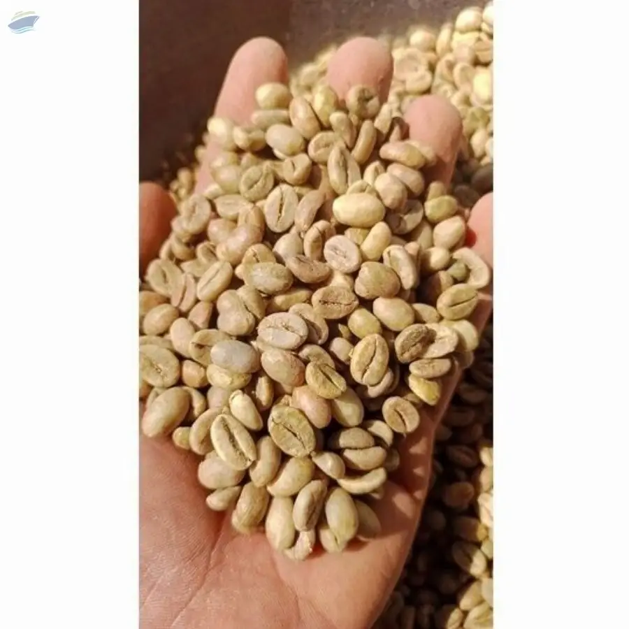 Robusta Green Bean Coffee S18 Grade