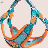 pet toys and clothes