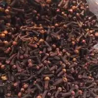 Cloves AB6