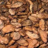 Cocoa Beans