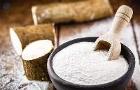 Premium Natural Cassava Starch Flour