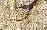 Natural Clean Sorghum Agricultural Grain 