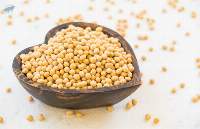 High Quality Soybean Grain For Export