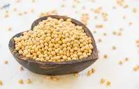High Quality Soybean Grain For Export