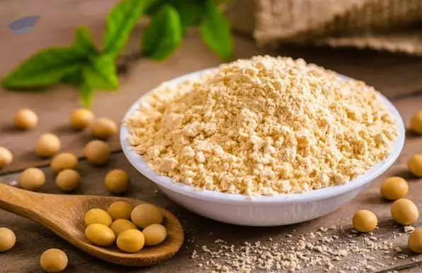 Premium Grade Soybean Meal Export Product 