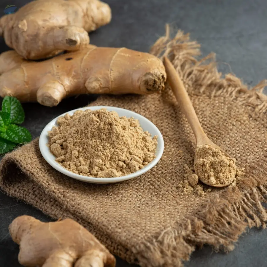 High Quality Ginger Powder Spice Product 
