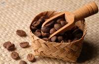 Premium Quality Natural Cocoa Beans