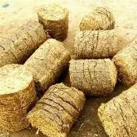 Cotton Salk Briquettes