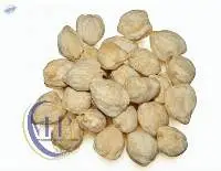 Candlenut Whole
