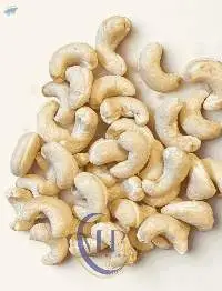 Raw Cashew Kernel Whole
