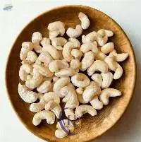 Raw Cashew Kernel w320