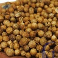Coriander Seed