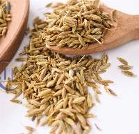 Cumin Seed