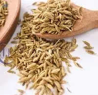 Cumin Seed