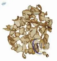 Dried Aromatic Ginger / Dried kencur
