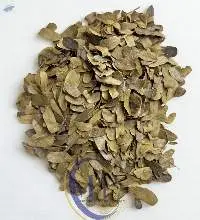 Dried Sweet Saga Leaves