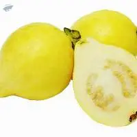 Guava