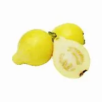 Guava