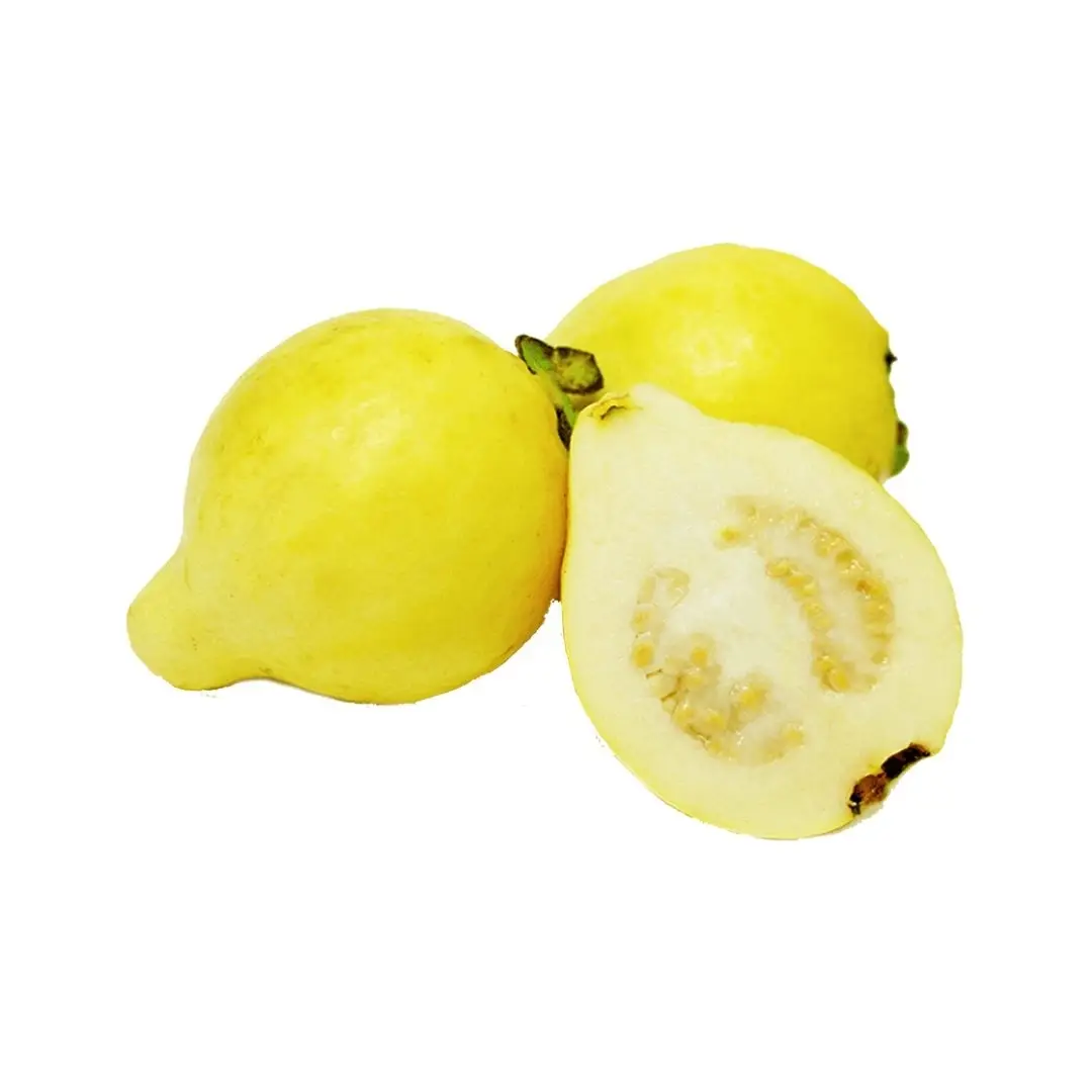 Guava