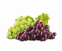 Grapes