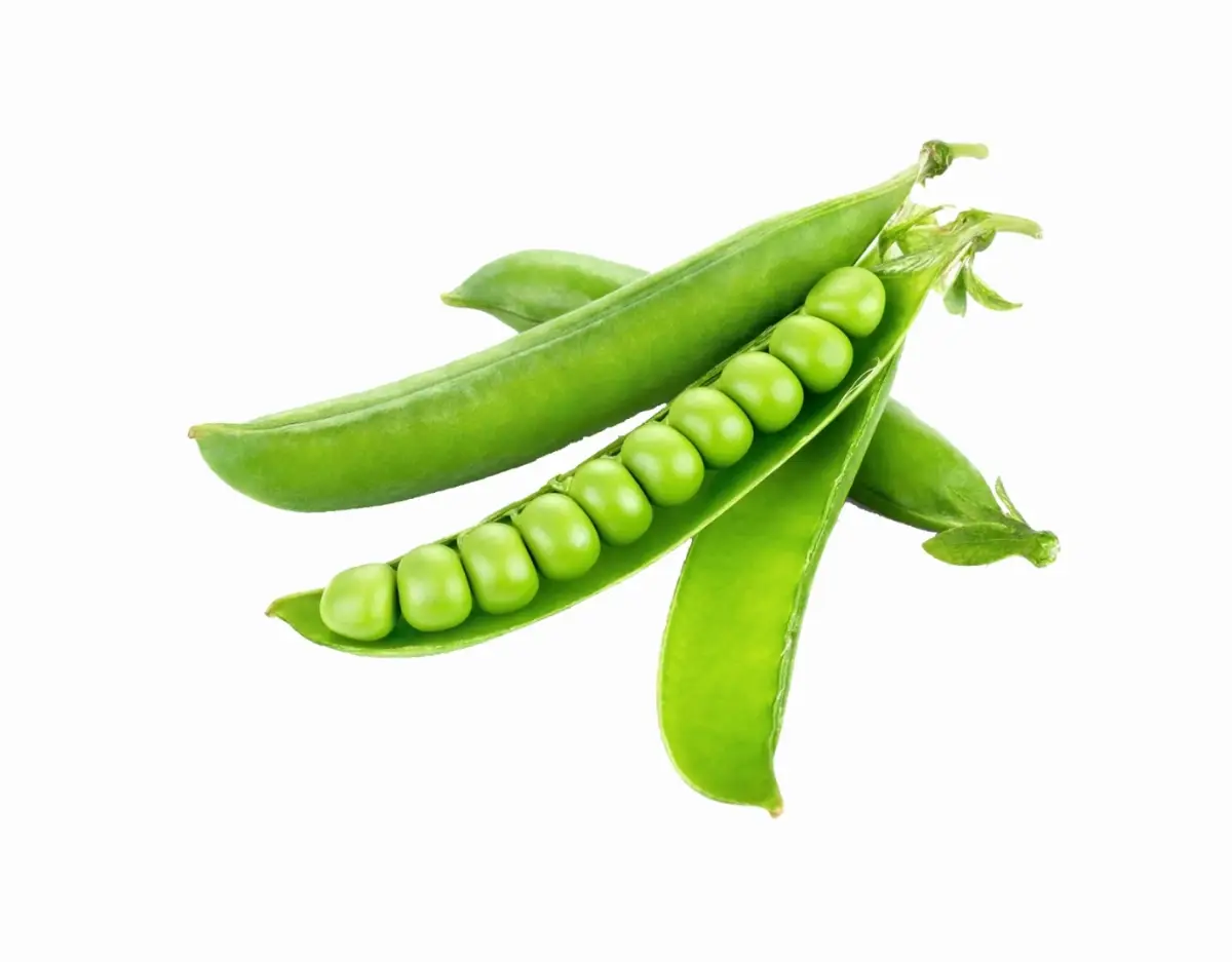 Green Peas