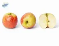 Apples