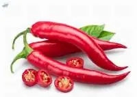 Red Chilli
