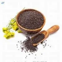 Mustard Seeds