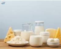 Dairy Products
