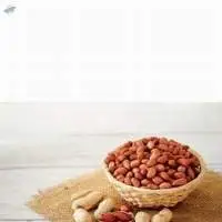Groundnuts
