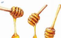Honey