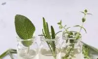 Organic Herbal Extract