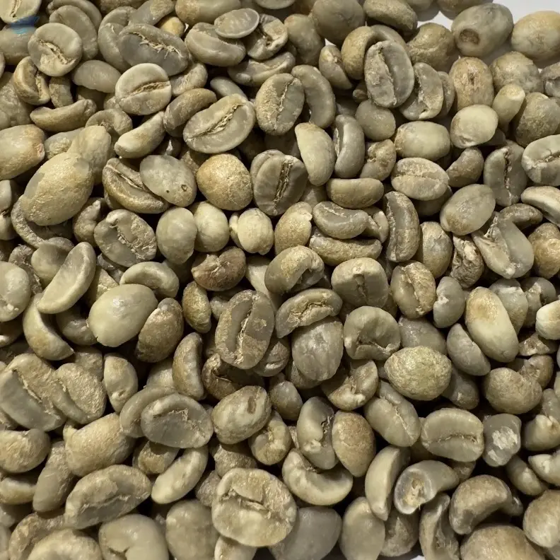 Arabica Ijen Mountain Coffee Beans