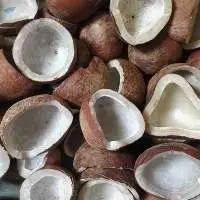 Copra, Coconut, Coconut Derivatives