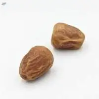 Premium Sukkari Dates