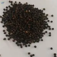 Pepper