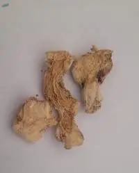Dry Ginger