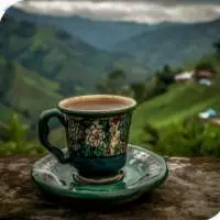 Tea