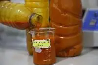 Crude Palm Oil