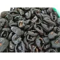 Dried Garcinia