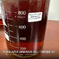 Premium Aquilaria Sinensis Agarwood Oil