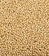 Millet