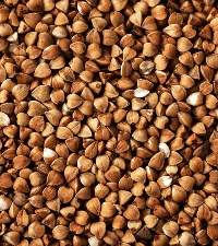 Buckwheat